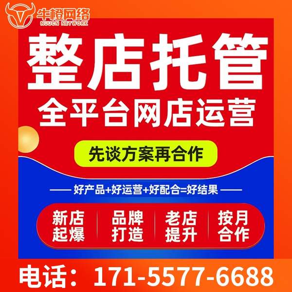 高密电商代运营