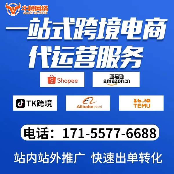 高密电商代运营